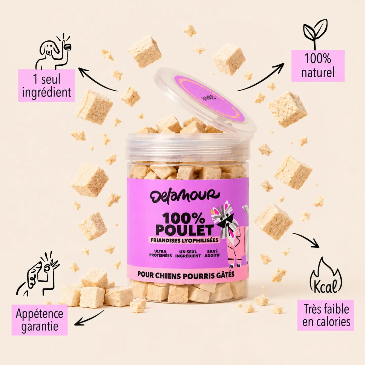 Friandises Lyophilisées Poulet
