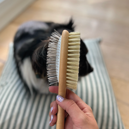 Brosse double face pour poils longs et mi-longs