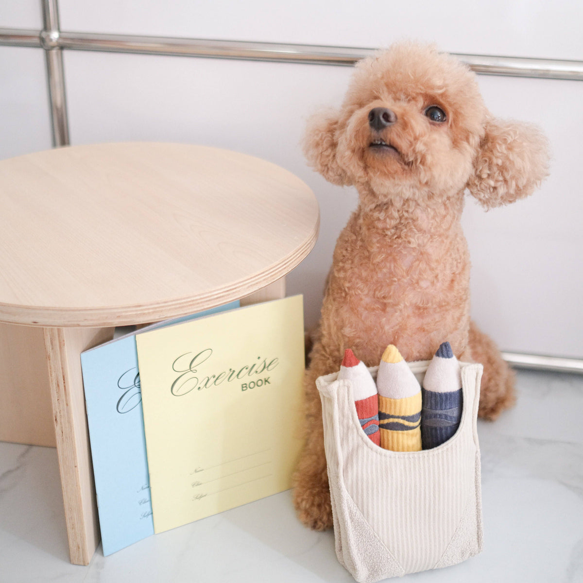 CRAYONS // JOUET D'ENRICHISSEMENT POUR CHIEN //