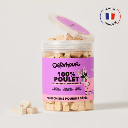 Friandises Lyophilisées Poulet