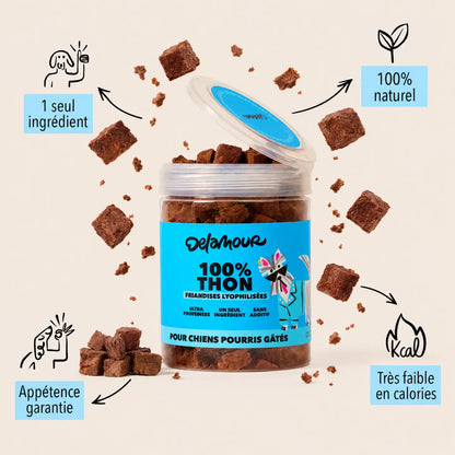 Friandises Lyophilisées Thon