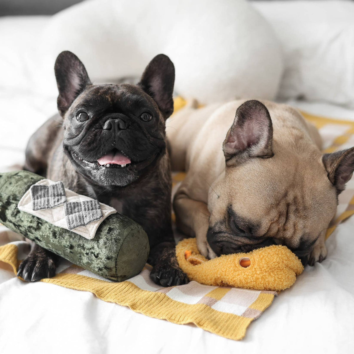 MERLOT // JOUET D'ENRICHISSEMENT POUR CHIEN