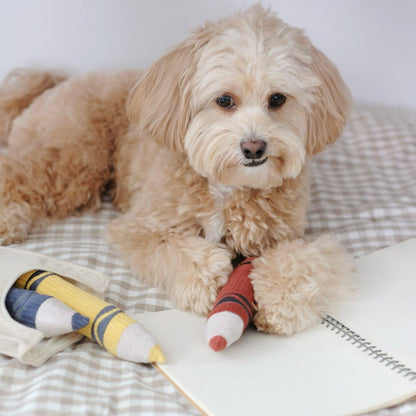 CRAYONS // JOUET D'ENRICHISSEMENT POUR CHIEN //