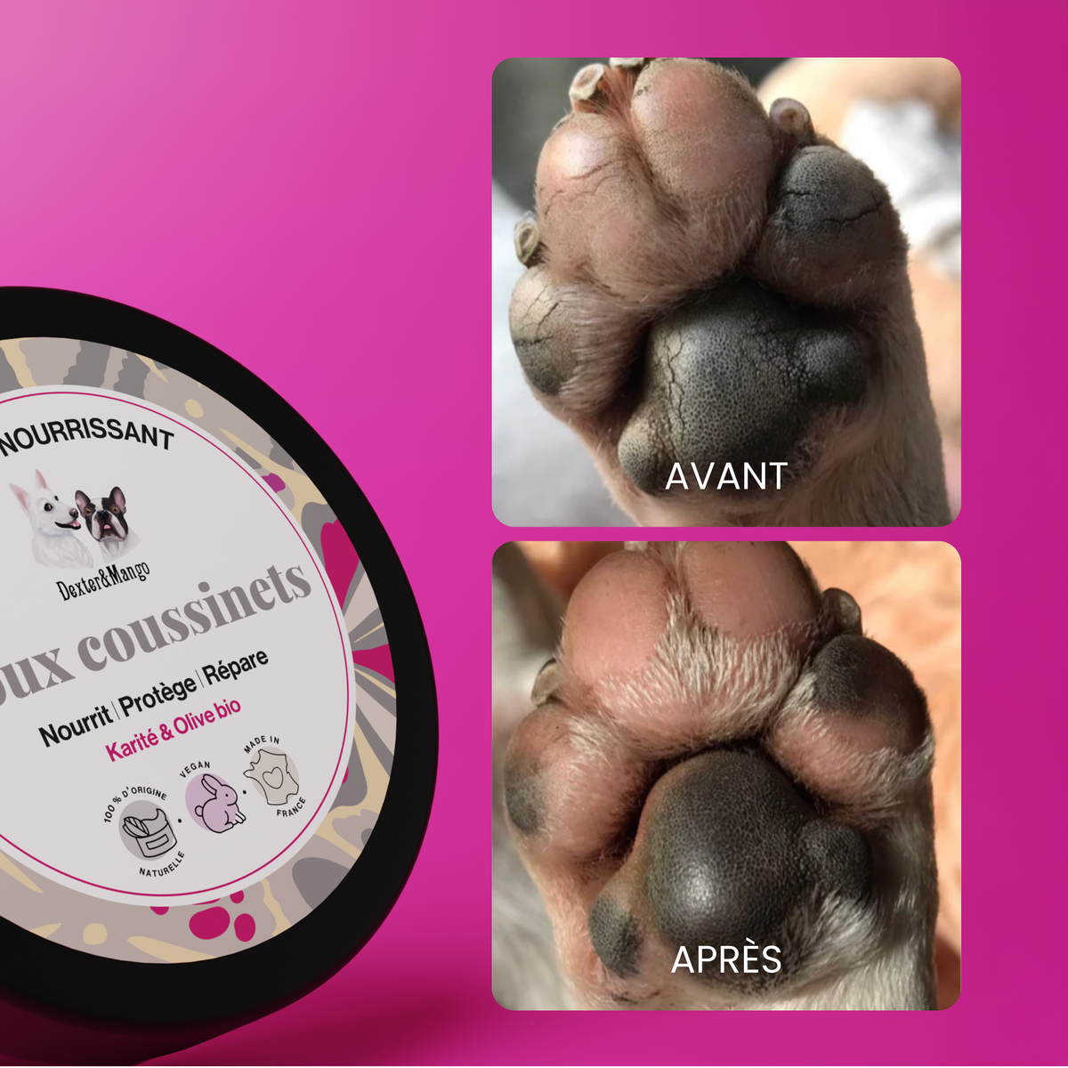 Baume nourrissant coussinets - Dexter & Mango
