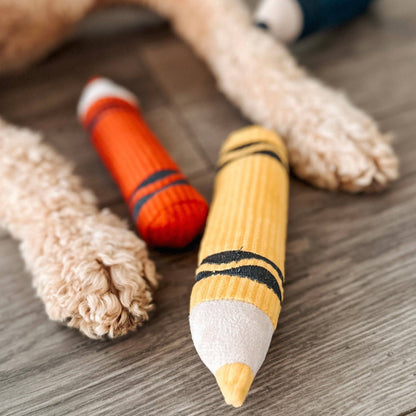 CRAYONS // JOUET D'ENRICHISSEMENT POUR CHIEN //
