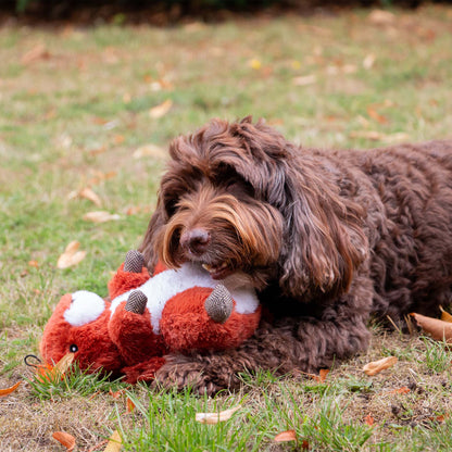Jouet pour chien Heritage Samantha Squirrel avec couinement et froissement