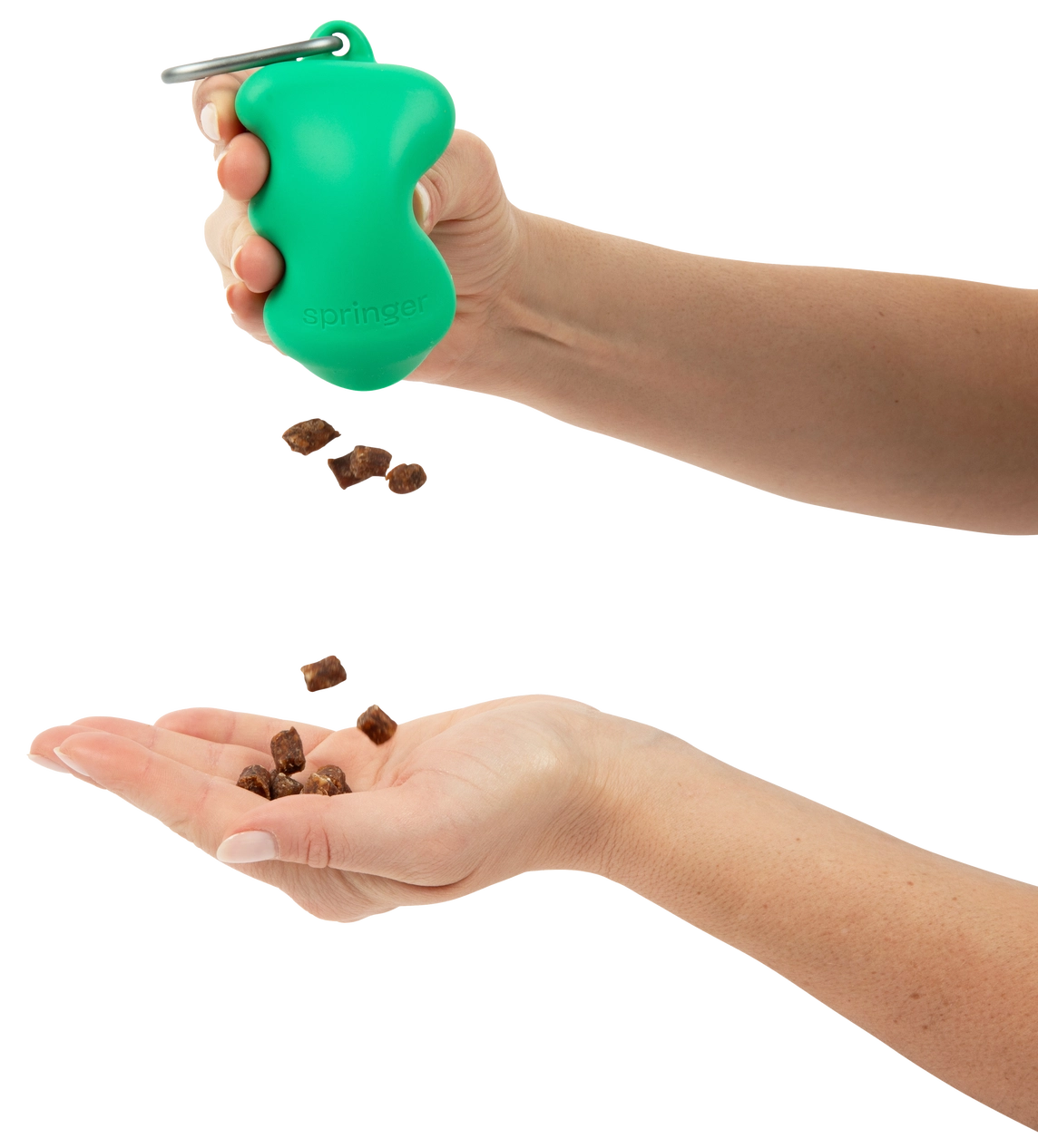 Distributeur de friandises Vert - Springer