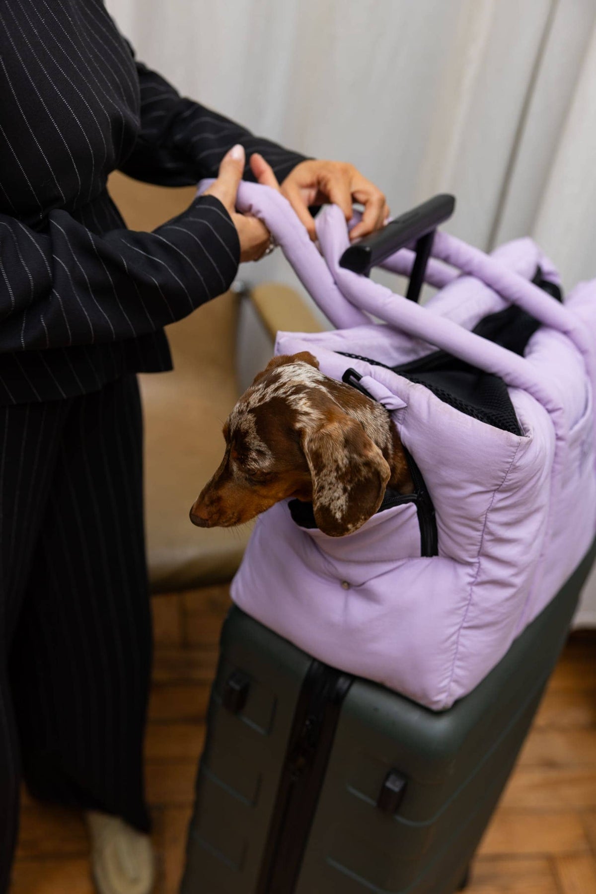 Sac de transport lilas pour chien – Avion & voyage