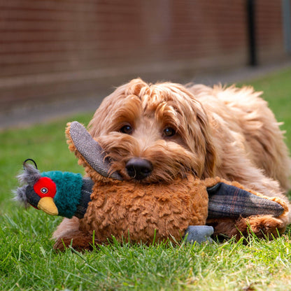 Jouet pour chien Faisan Phoebe Héritage avec couinement et froissement