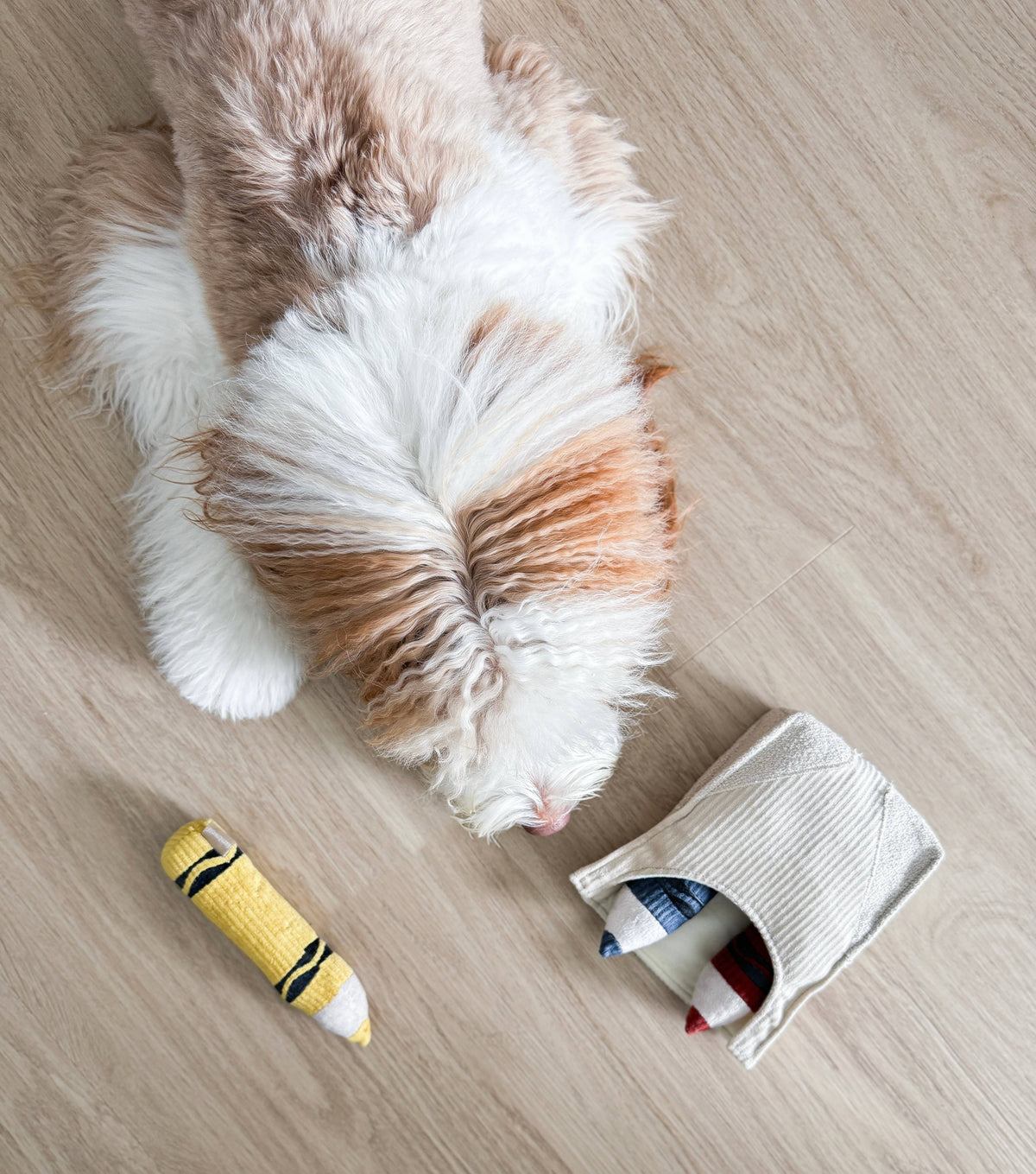 CRAYONS // JOUET D'ENRICHISSEMENT POUR CHIEN //