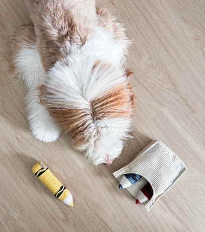 CRAYONS // JOUET D'ENRICHISSEMENT POUR CHIEN //
