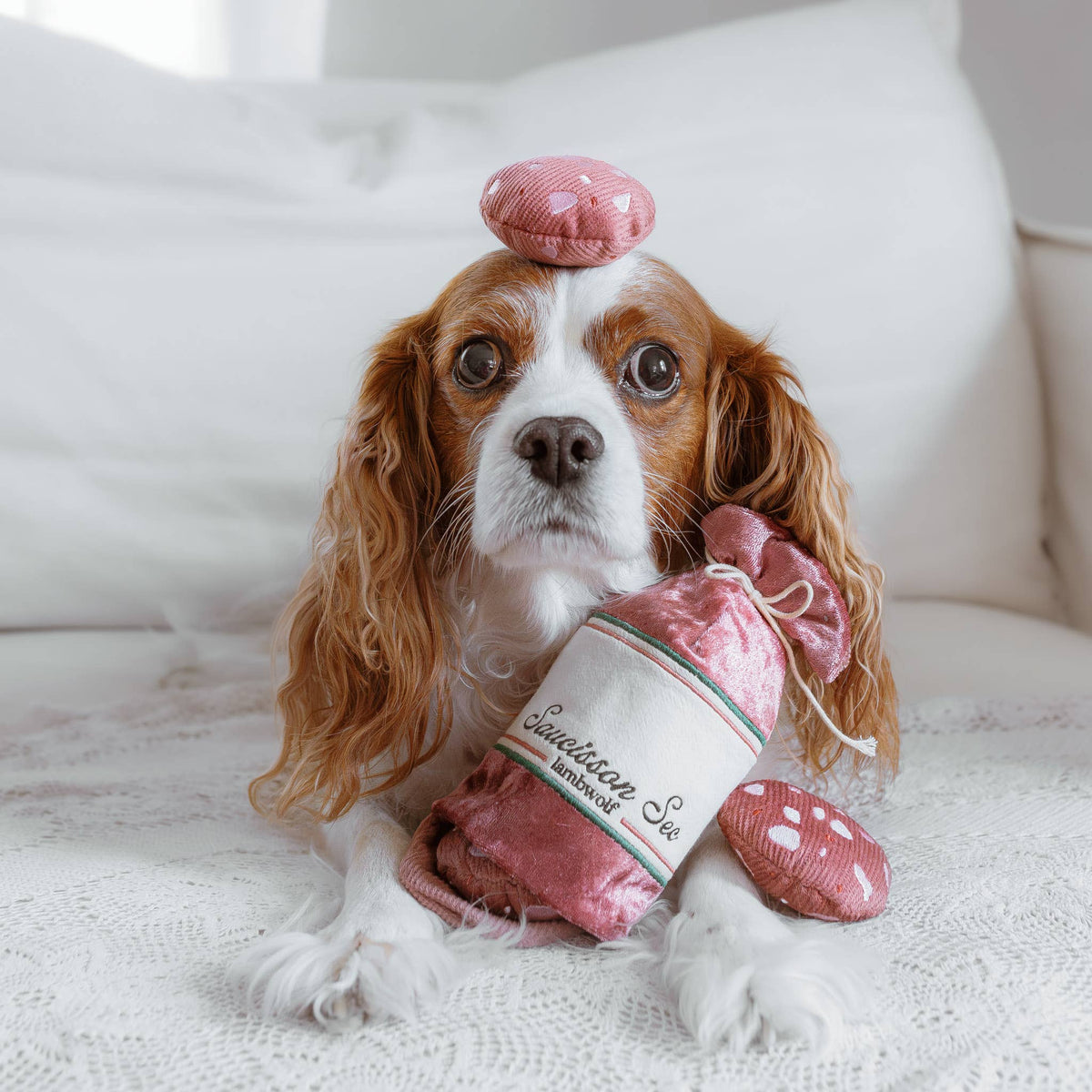 SAUCISSON SEC // JOUET D'ENRICHISSEMENT POUR CHIEN //