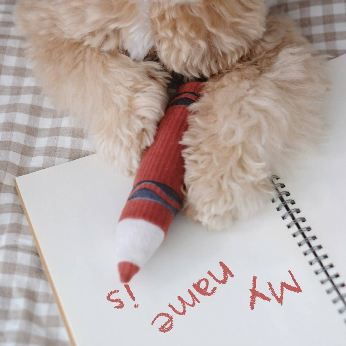 CRAYONS // JOUET D'ENRICHISSEMENT POUR CHIEN //