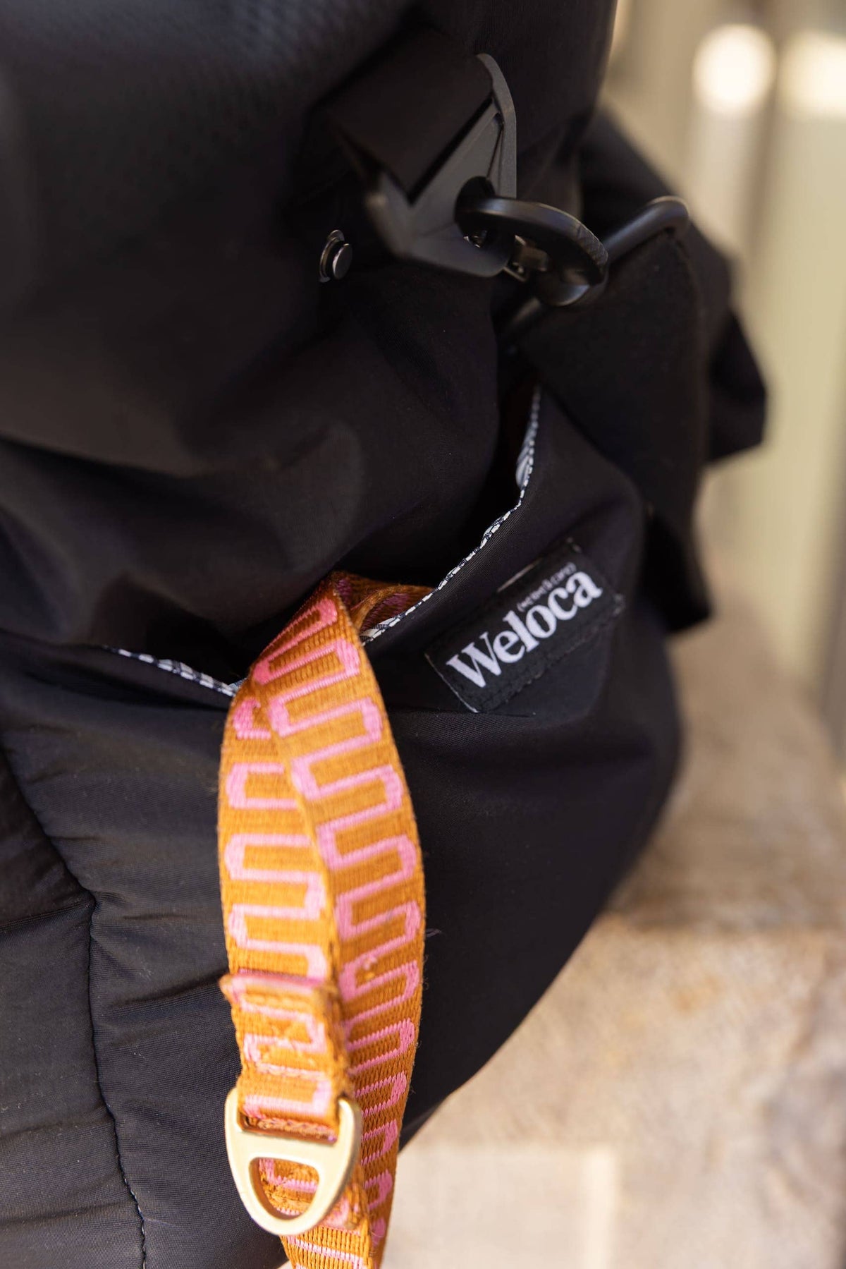 Sac de transport noir pour chien – Avion & voyage