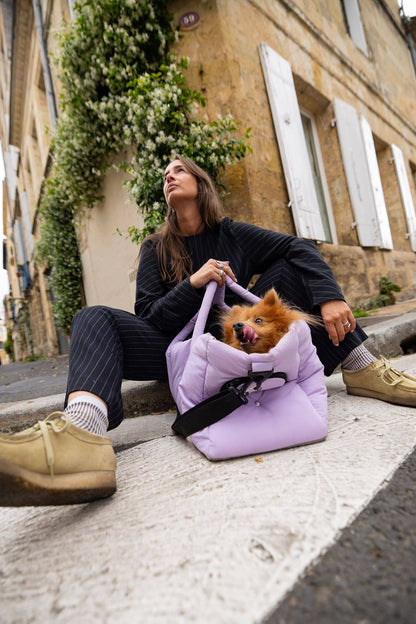 Sac de transport lilas pour chien – Avion & voyage