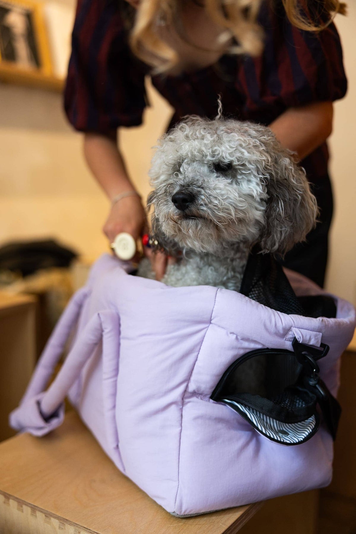 Sac de transport lilas pour chien – Avion & voyage