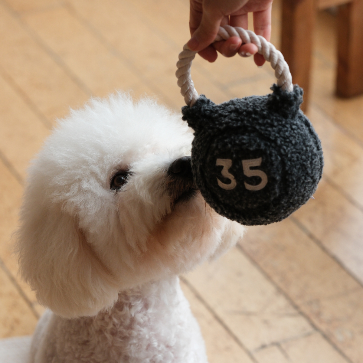 KETTLEBELL // JOUET D'ENRICHISSEMENT POUR CHIEN // JOUET DE TIRER ET DE RAPPORTER