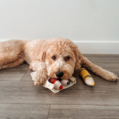 CRAYONS // JOUET D'ENRICHISSEMENT POUR CHIEN //