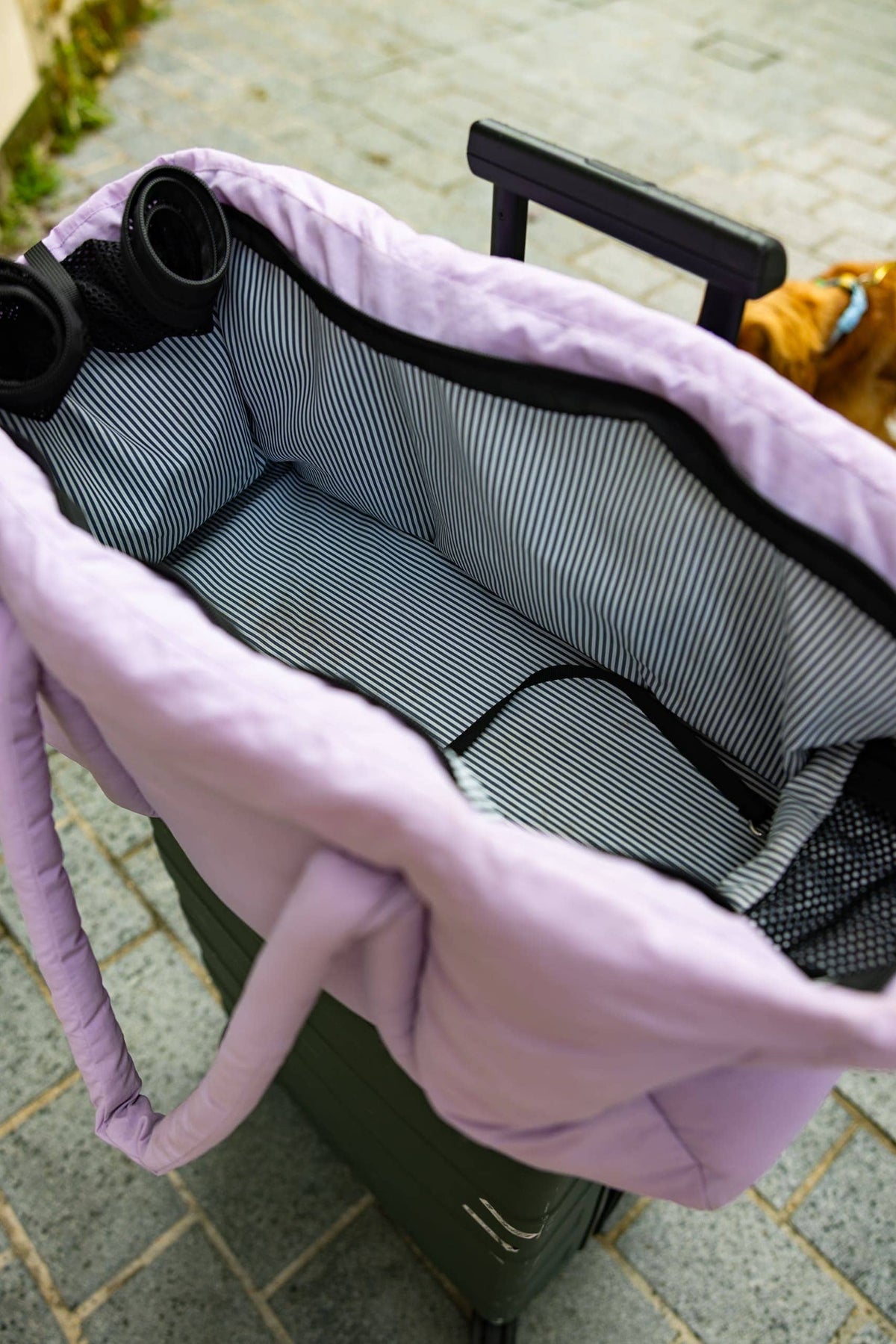 Sac de transport lilas pour chien – Avion & voyage
