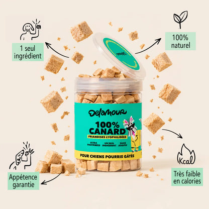 Friandises Lyophilisées Canard