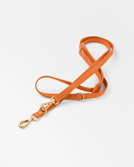 Laisse Multi-positions Orange