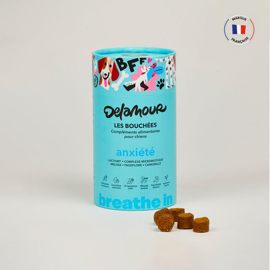 Les Bouchées Anxiété - Delamour