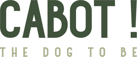 Cabot Store