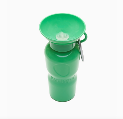 Gourde Classique Vert - Springer