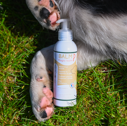 Baume coussinets & truffe – Protection et hydratation naturelle – Happy Scoop