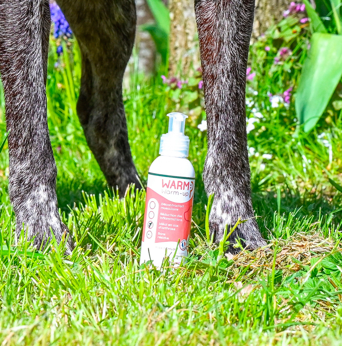 Gel de massage décontractant – Soin apaisant naturel – Happy Scoop
