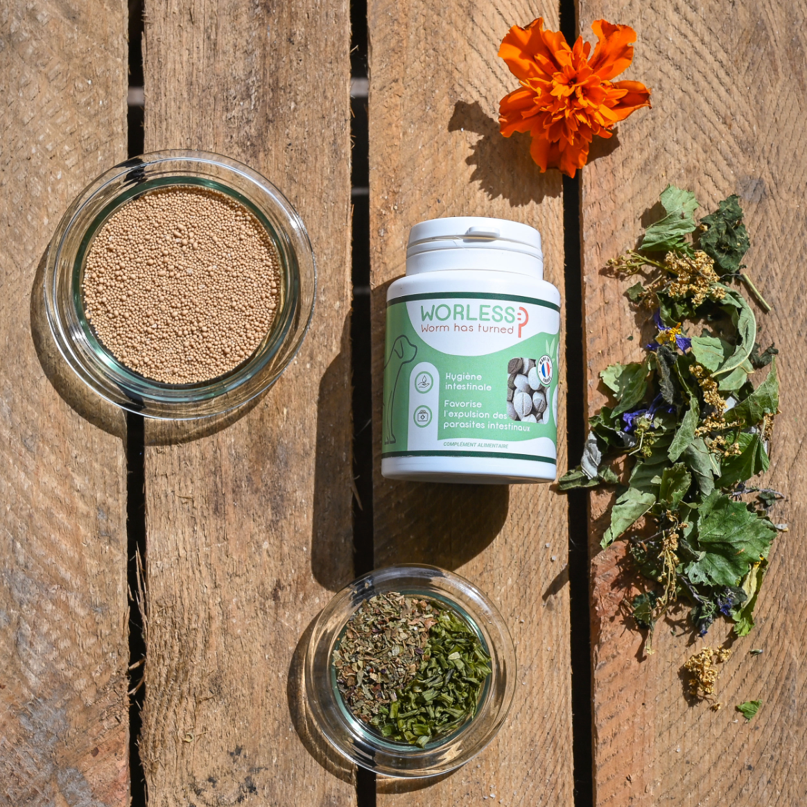 Worless – Comprimés pour l'hygiène intestinale – Happy Scoop