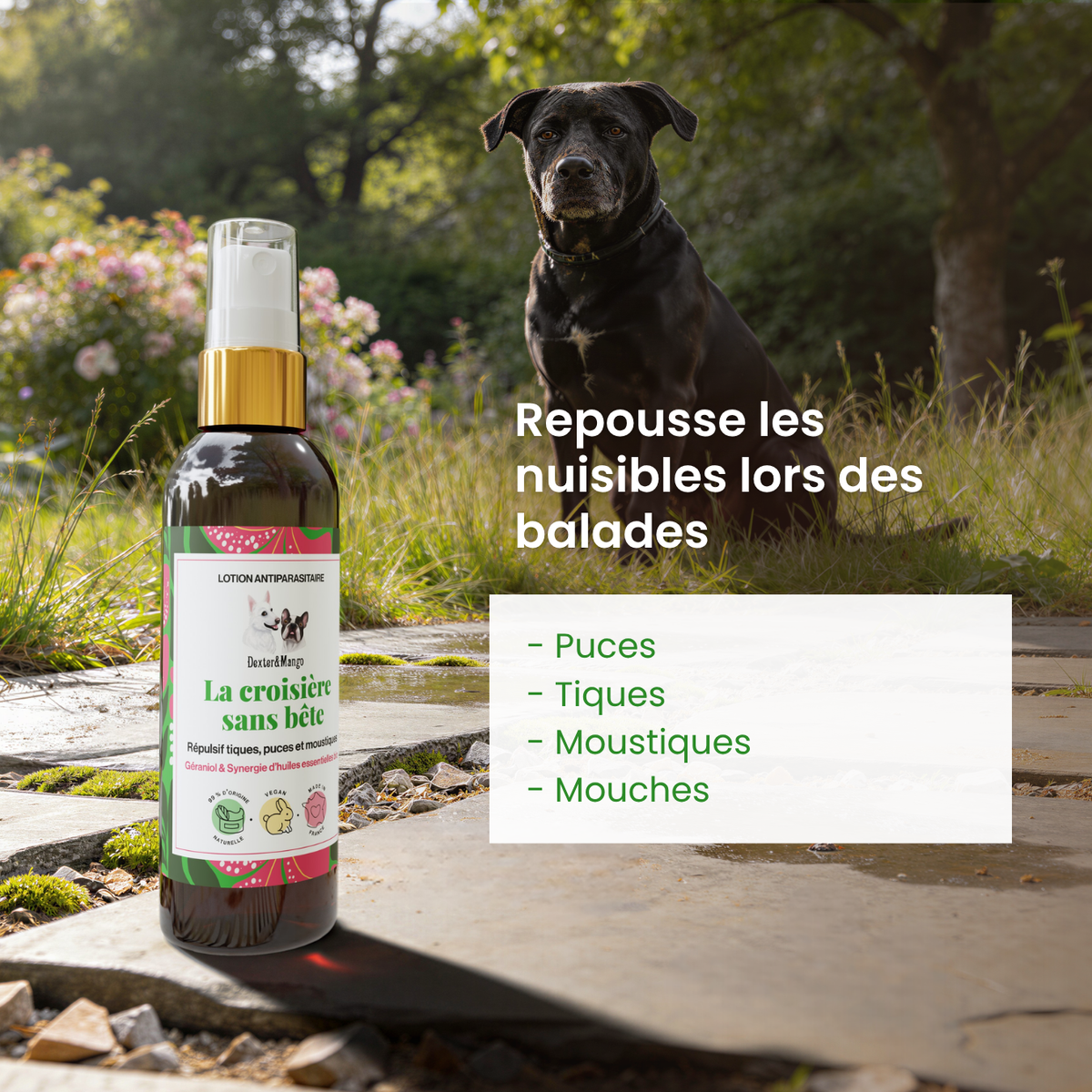 Spray anti parasitaire - Dexter & Mango