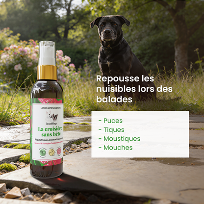 Spray anti parasitaire - Dexter & Mango
