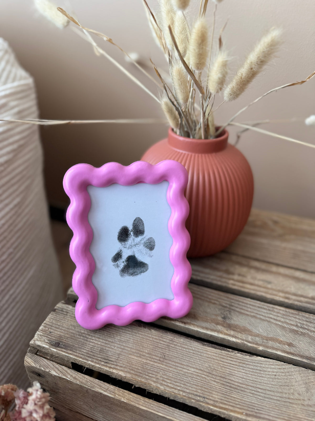 Paw Print Kit - Babelle