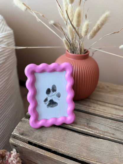 Paw Print Kit - Babelle