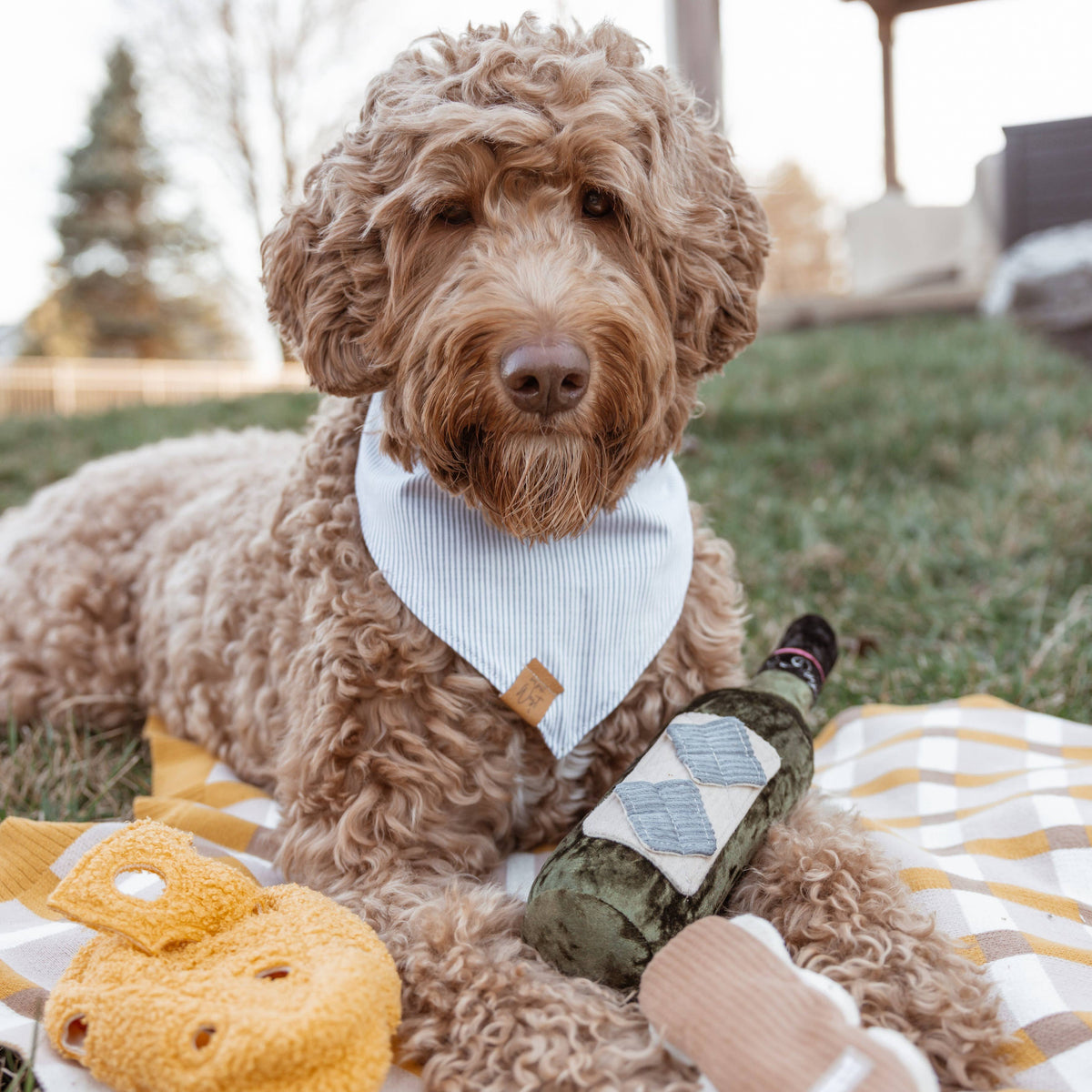 MERLOT // JOUET D'ENRICHISSEMENT POUR CHIEN