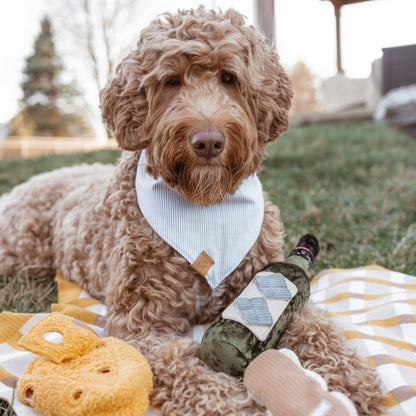 MERLOT // JOUET D'ENRICHISSEMENT POUR CHIEN