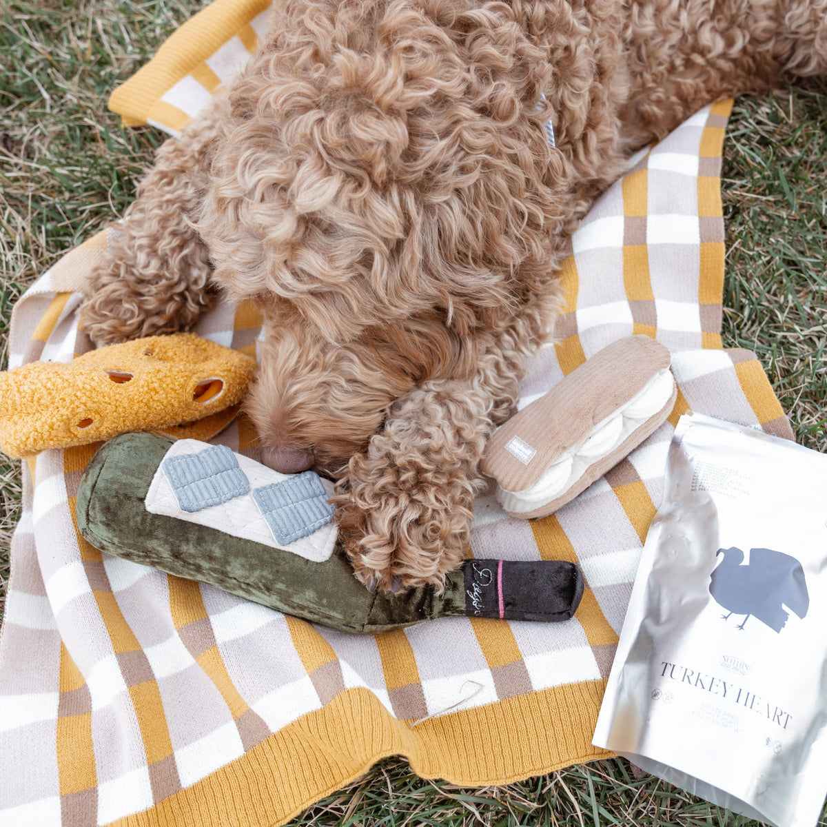 MERLOT // JOUET D'ENRICHISSEMENT POUR CHIEN