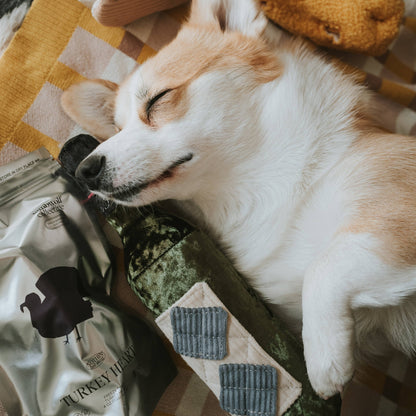 MERLOT // JOUET D'ENRICHISSEMENT POUR CHIEN
