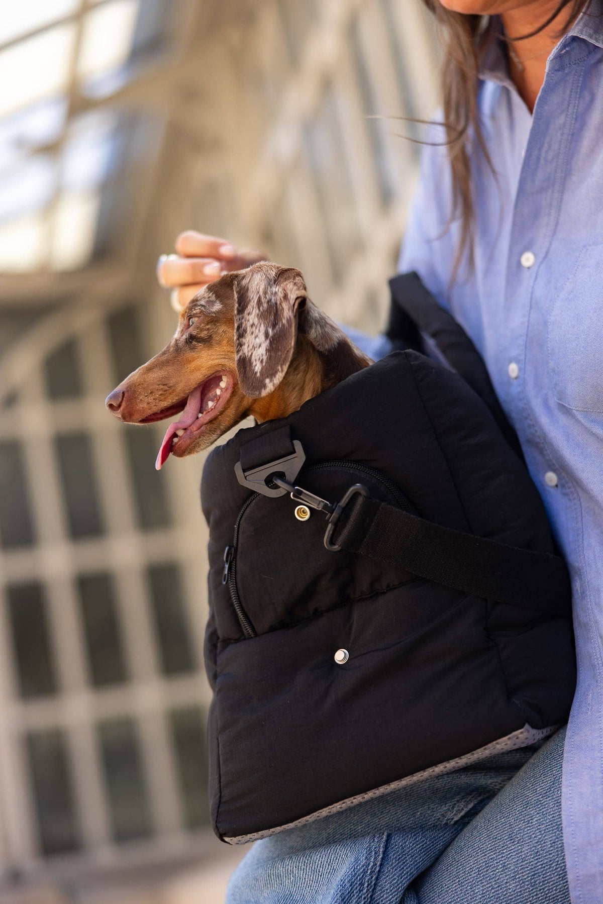 Sac de transport noir pour chien – Avion & voyage