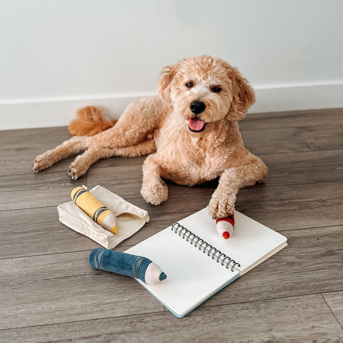 CRAYONS // JOUET D'ENRICHISSEMENT POUR CHIEN //