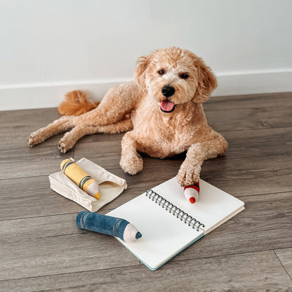 CRAYONS // JOUET D'ENRICHISSEMENT POUR CHIEN //