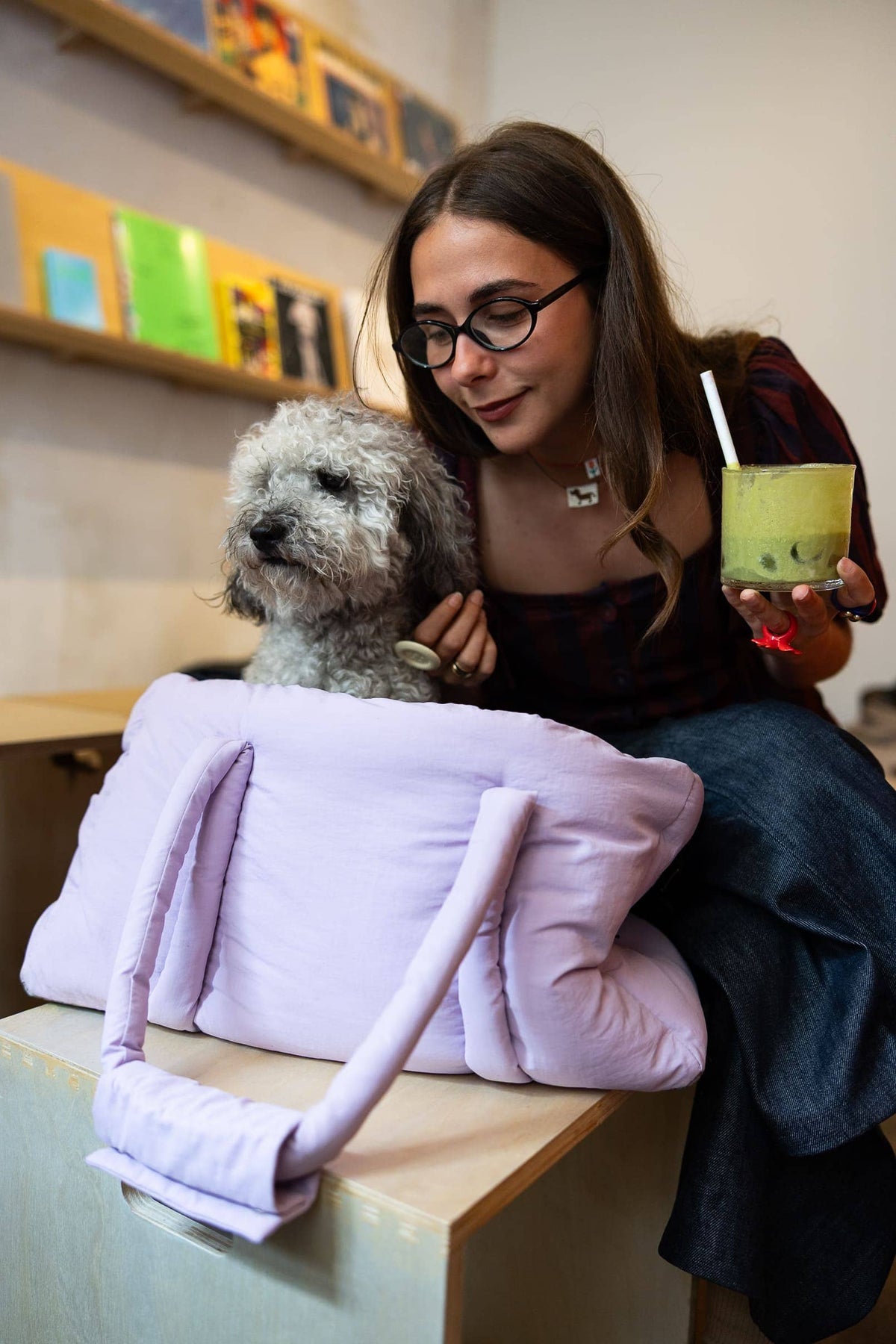 Sac de transport lilas pour chien – Avion & voyage