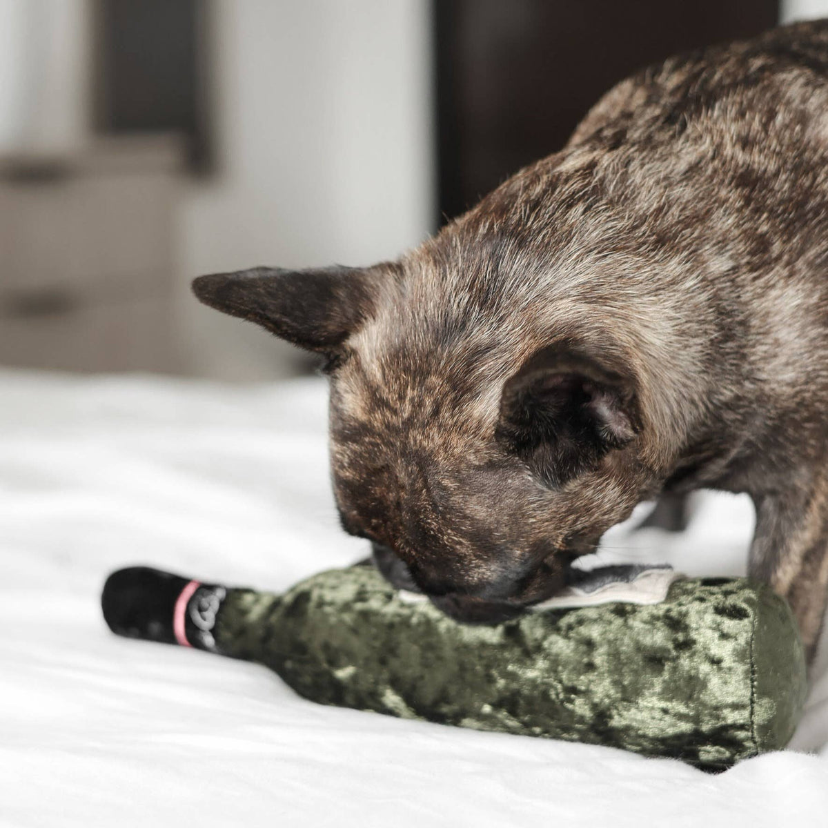 MERLOT // JOUET D'ENRICHISSEMENT POUR CHIEN