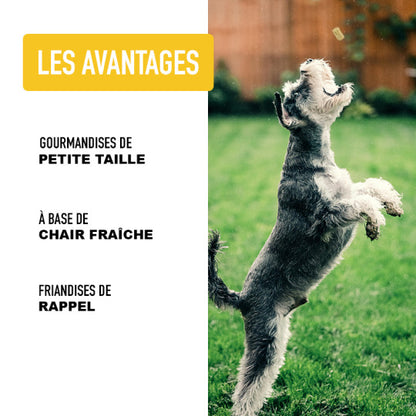 Lèche babines - Poulet - Atavik