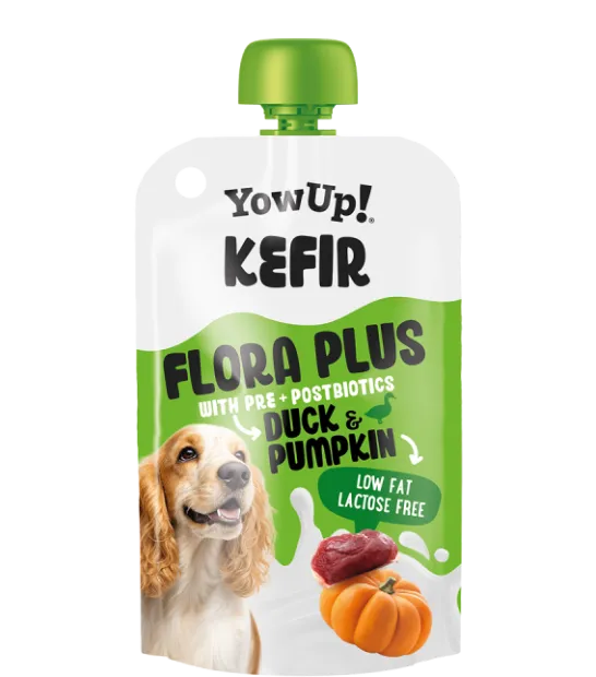 Yow Up Kéfir