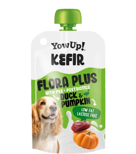 Yow Up Kéfir