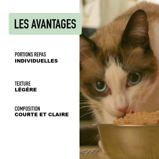 Mousse chat poulet agneau - Atavik