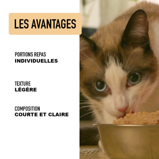 Mousse chat poulet boeuf - Atavik