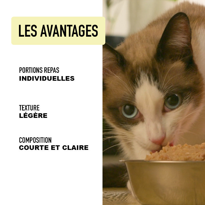 Mousse chat poulet - Atavik